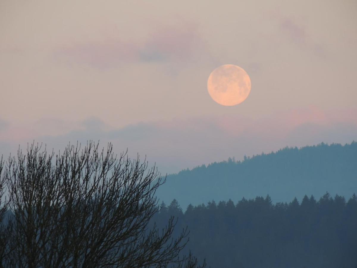 Appartamento Fw Zauberblick Zwiesel Esterno foto