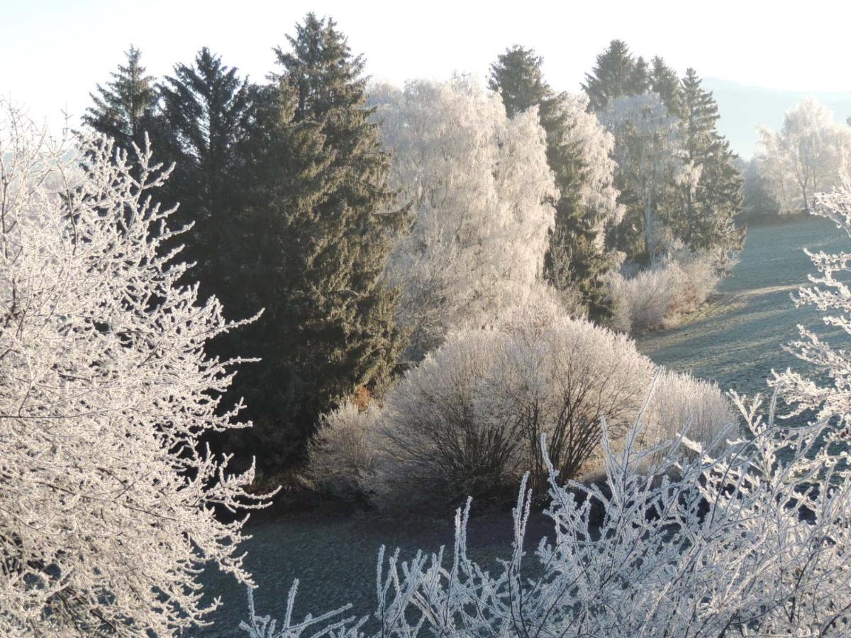 Appartamento Fw Zauberblick Zwiesel Esterno foto